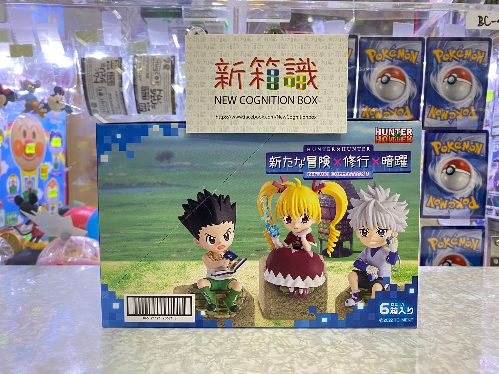 Hunter x Hunter Pittori Collection 2 New Adventure x Training x Secret  Maneuvers (Set of 6) (Anime Toy) - HobbySearch Anime Goods Store