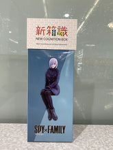 Load image into Gallery viewer, New box information 🌟New arrivals in August🌟 Ready-made version of the new PM scene SPY×FAMILY spy family wine night curtain (sit down style Ver.)
