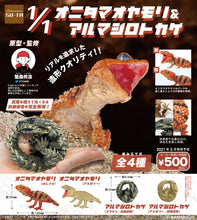 Load image into Gallery viewer, New Box Japanese Edition SO TA Gashapon AMYAE &amp; LIZARD Gecko Lizard Albino 1:1 1/1 Brown Circle 
