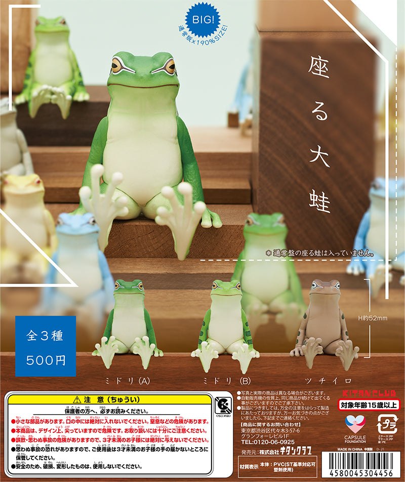 新箱識 扭蛋 日版 Kitan Club  BIG 通常版x190% 52mm 青蛙 Frog 座之大蛙 大蛙 一套3款