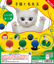 Load image into Gallery viewer, New box information 🌟New arrivals in December🌟 Ready-made Japanese version of gashapon Kitan kitten and yarn ball cat white cat
