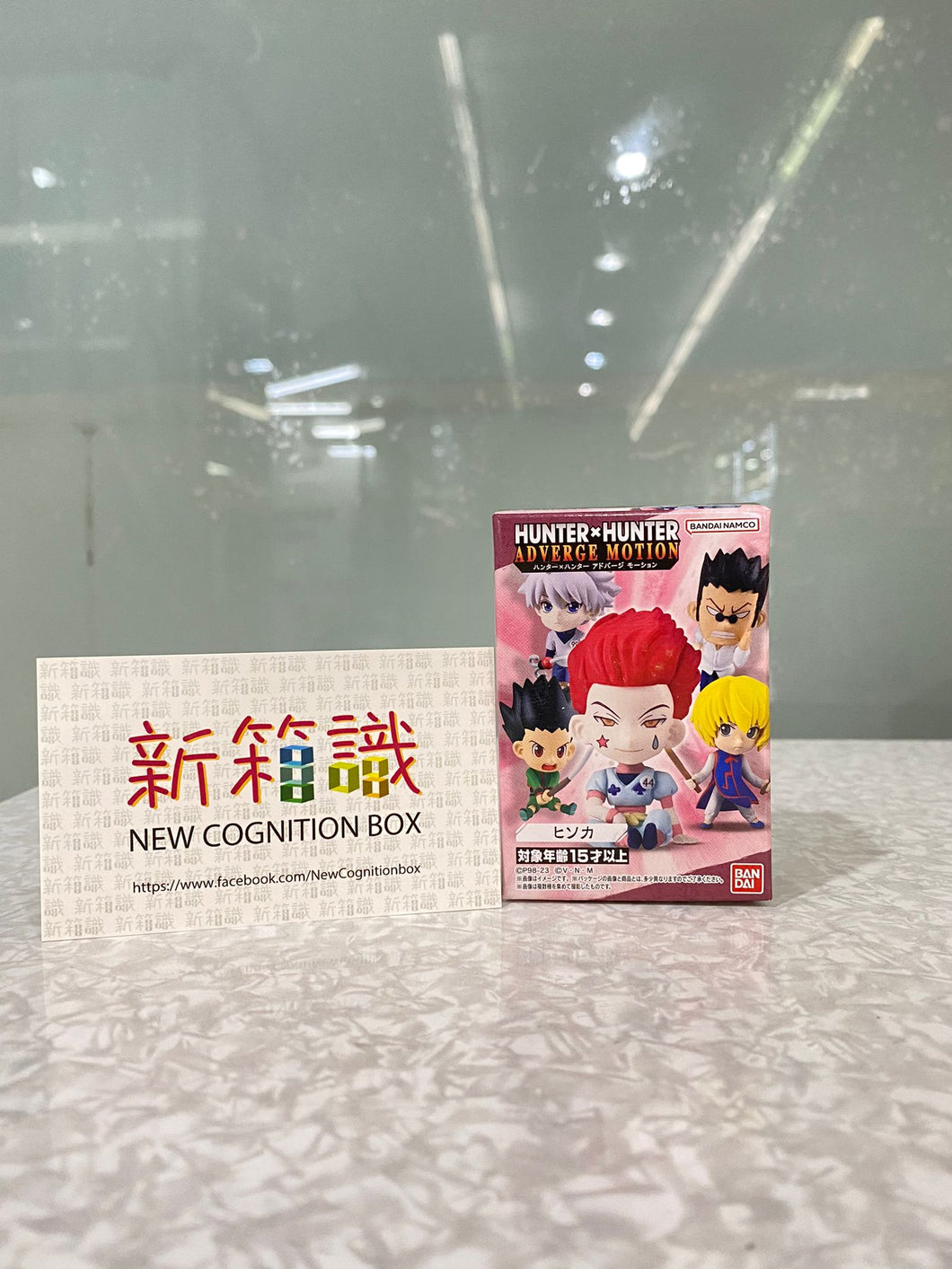 新ボックス情報🌟 10月新入荷🌟 バンダイ HUNTER×HUNTER 専業ハンター ADVERGE MOTION シリーズ ピカソプラス 既製品