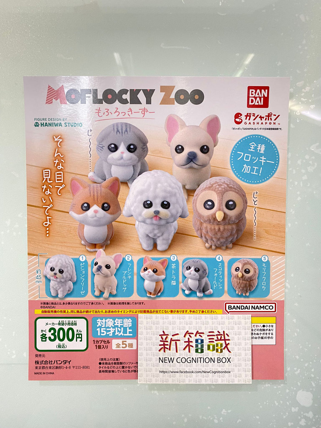 New box information 🌟 New arrivals in January 🌟 Ready in stock Bandai gashapon upward looking animal ornaments set of 5 Bichon Frize French Bulldog tabby cat Scottish fold cat gray forest owl owl