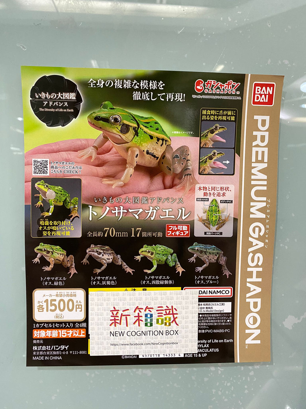 New box information 🌟 New arrivals in February 🌟 Ready-made version of Bandai gashapon animal illustrated book, black-spotted frog, set of 4 types