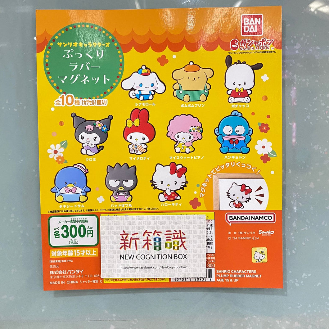 New box information 🌟 New arrivals in June 🌟 Ready-made new BANDAI gashapon SANRIO character watery eyes magnet stickers 1 set of 10 styles 