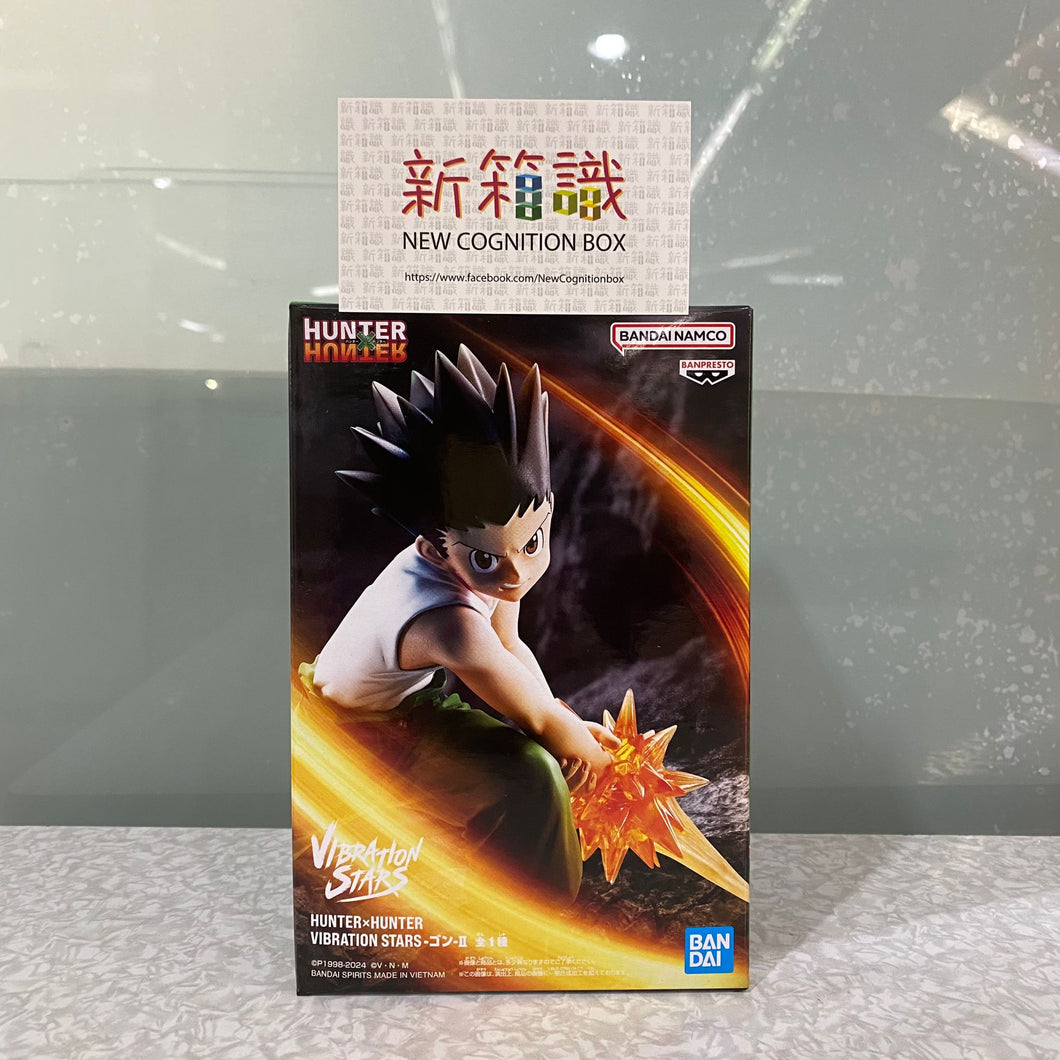 新箱識 🌟 11月新貨🌟  現貨 全新 行版 景品  VIBRATION STARS  HUNTER×HUNTER 小剛 第二彈