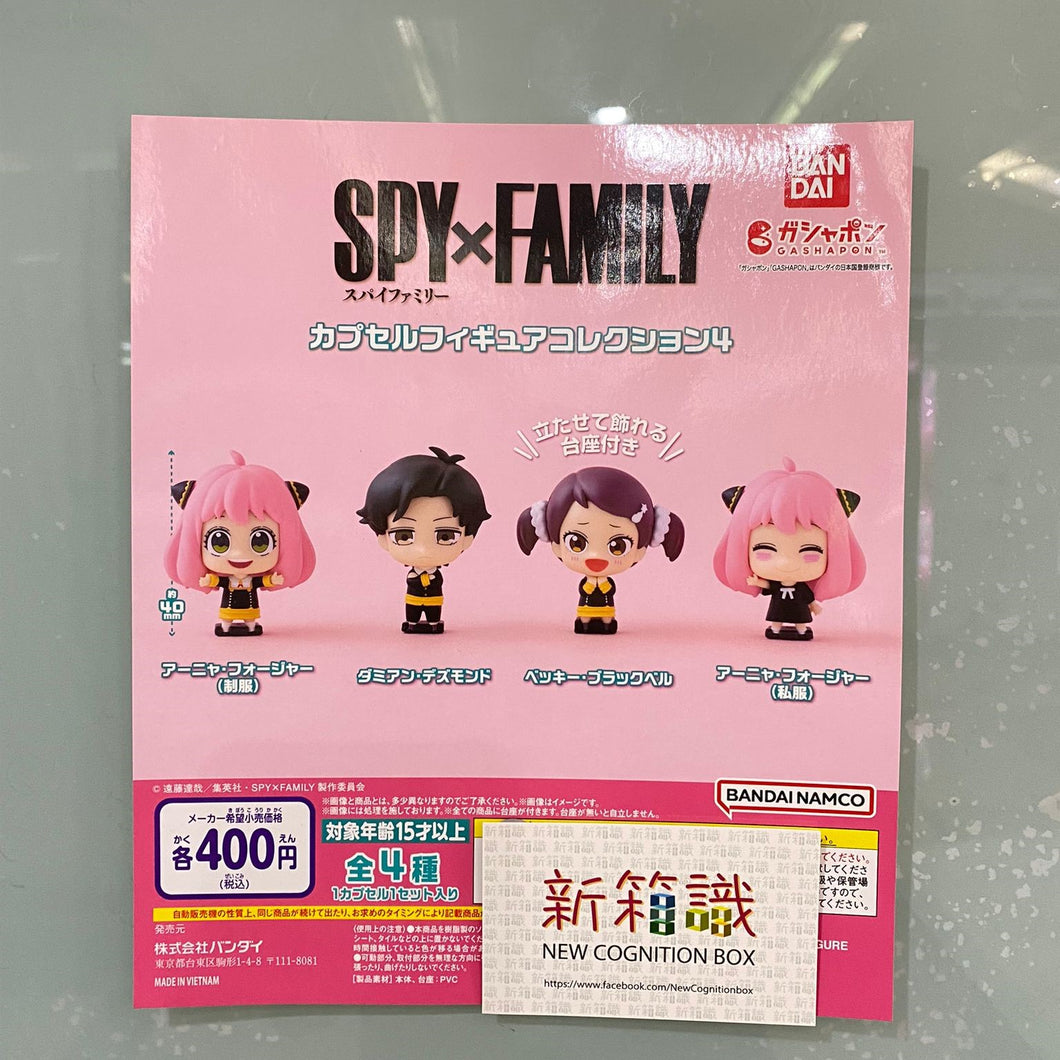 新箱識 🌟 9月新貨🌟  現貨 行版 全新 扭蛋 Bandai  SPYxFAMILY間諜家家酒公仔系列第4彈  一套4款