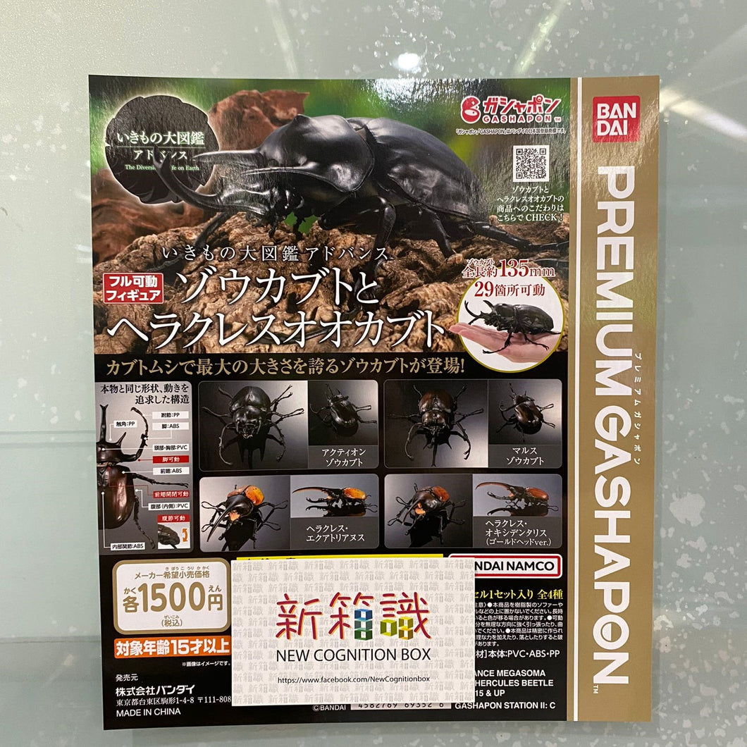 New box information 🌟 New arrivals in August 🌟 Ready-made brand new gashapon BANDAI animal illustrated book Elephantus genus and Elephantus genus A set of 4 types 