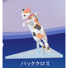 Load image into Gallery viewer, New box information 🌟New arrivals in December🌟 Gacha Japanese version YELL Skating cat on ice Cat skating cat Cat skating on ice cat tricolor cat
