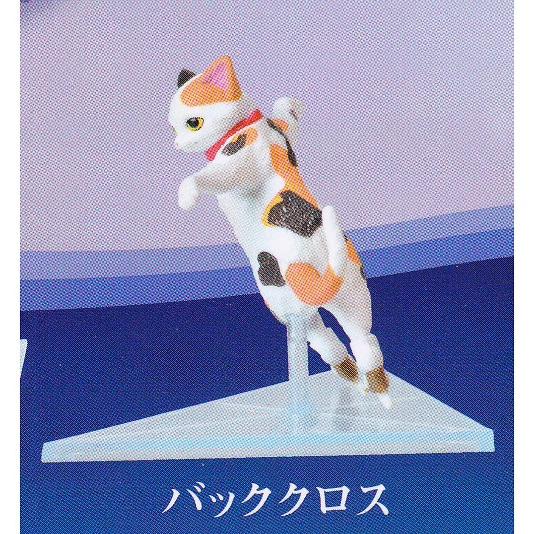 New box information 🌟New arrivals in December🌟 Gacha Japanese version YELL Skating cat on ice Cat skating cat Cat skating on ice cat tricolor cat