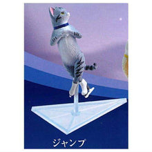 Load image into Gallery viewer, New box information 🌟New arrivals in December🌟 Gacha Japanese version YELL Skating Cat Cat on Ice Cat Skating Cat Cat Skating Cat Gray Cat on Ice
