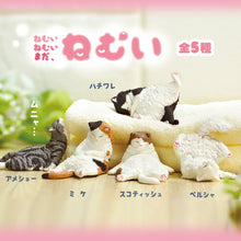 Load image into Gallery viewer, New box knowledge 🌟New arrivals in May🌟 Ready-made Japanese version of gashapon YELL ねむいcat fat cat sleeping sleep training white cat
