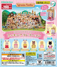 Load image into Gallery viewer, New box information 🌟 New arrivals in January 🌟 Ready stock Japanese version of gashapon tarlin forest family mini doll chocolate bunny sister
