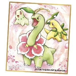 新箱識 色紙 pokemon  寵物小精靈 ポケットモンスター ポケモン 色紙ART2 色紙ART 2 御三家  菊草葉 月桂葉 大菊花