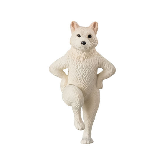 New box of gashapon Tai Chi dog animal pet white hair Shiba Inu dog style doll decoration