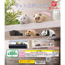 Load image into Gallery viewer, New box recognition ❗Black Cat❗In stock, brand new version Bandai gashapon cute animal head care series そっと见愿りさんC
