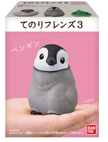 新ボックス知識❗NO.6 ペンギン❗ 通常版ボックス エッグヤシ アニマルベビー 3rd 海洋生物 フレンズアニマル アニマルズB