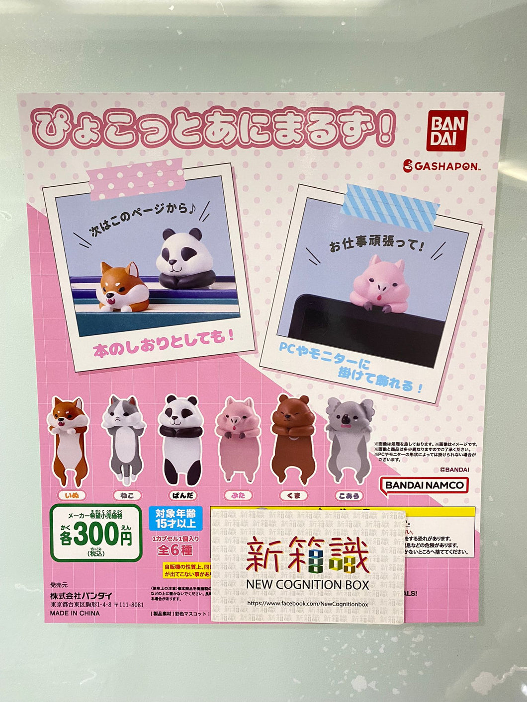 新箱識 🌟2月新貨🌟 現貨 行版 全新 扭蛋 BANDAI 動物桌上用品系列 熊貓 貓 狗 柴犬 豬 樹熊 熊 一套6款