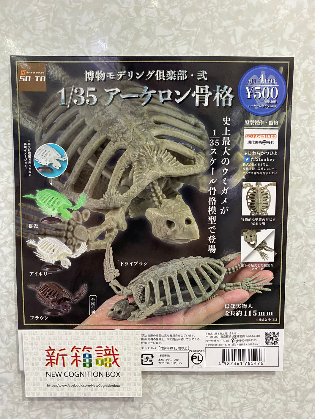 New box knowledge 🌟New arrivals in November🌟 Ready-made Japanese version gashapon sota Museum Club turtle skeleton model 1:35, all 4 kinds of luminous